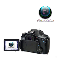 juliavilard-icon-photographe